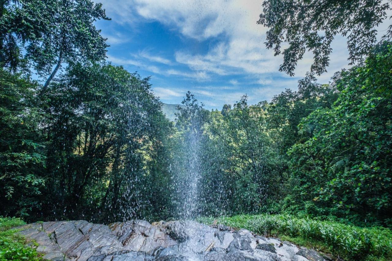 Palmstone Retreat Hotel Kitulgala Exterior photo
